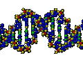 DNA